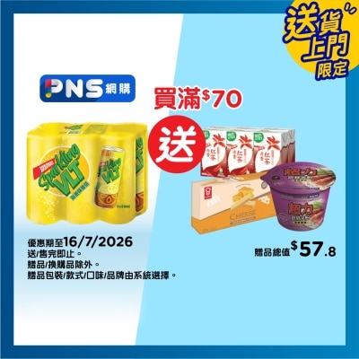 VITA Vita™ Sparkling Lemon Tea Drink*6