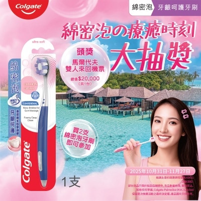 高露潔 綿密泡牙齦呵護牙刷 按摩牙齦減壓 貼合齒面輕柔潔淨 (高密+超軟刷毛) (顏色隨機發送)