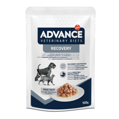 ADVANCE AVET DOG&CAT RECOVERY WET POUCH (100g)