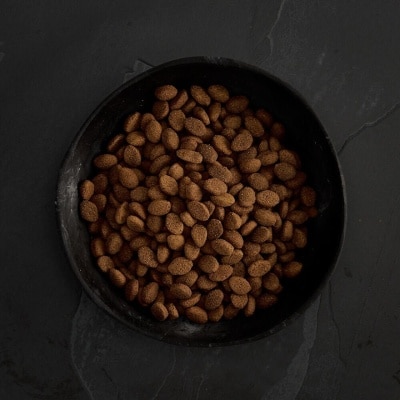 CANAGAN Country Game for Dogs (2kg) Grain Free Dog Food - Canagan