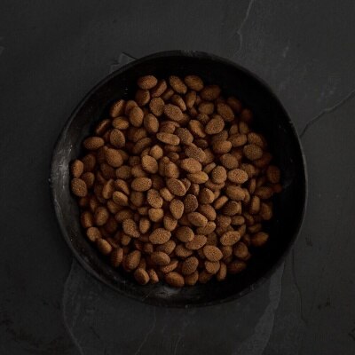 CANAGAN Country Game for Dogs (12kg) Grain Free Dog Food - Canagan