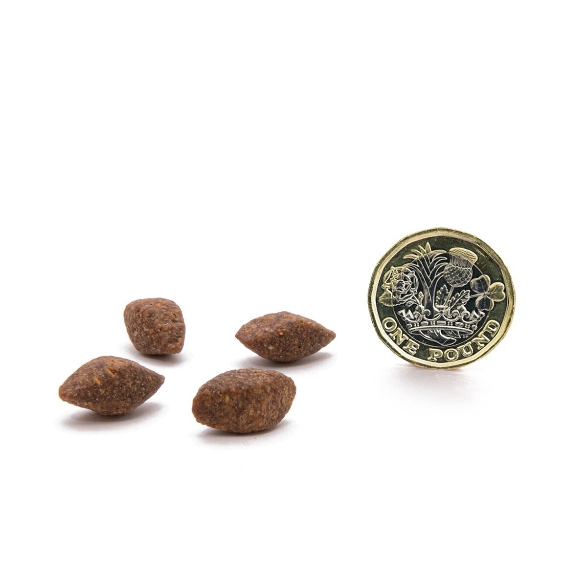 CANAGAN Insect Protein Dry Food For Dogs (1.5kg) - Canagan
