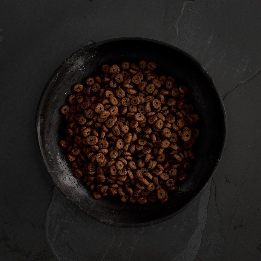 CANAGAN Small Breed Free Run Turkey Dental for All Dogs (6kg) Grain Free Dog Food - Canagan