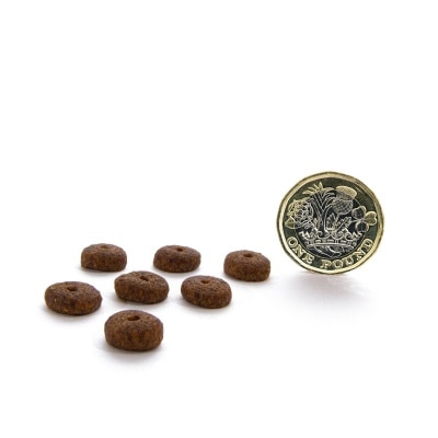 CANAGAN Small Breed Free Run Turkey Dental for All Dogs (6kg) Grain Free Dog Food - Canagan