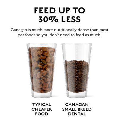 CANAGAN Small Breed Free Run Turkey Dental for All Dogs (6kg) Grain Free Dog Food - Canagan