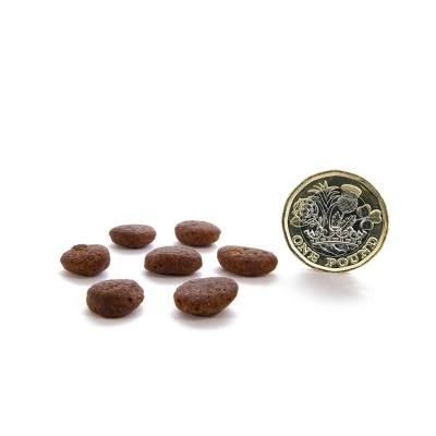 CANAGAN 無穀物走地雞貓糧配方(1.5kg) - Canagan 原之選