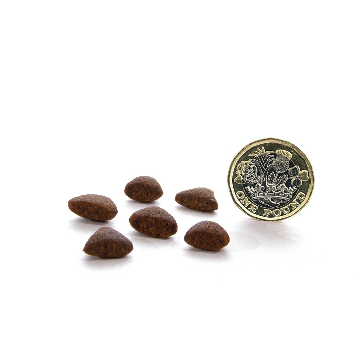 CANAGAN Country Game for Cats (4kg) Grain Free Cat Food - Canagan