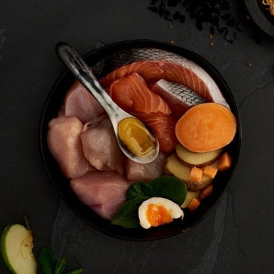 CANAGAN 無穀物走地雞減肥/老貓糧配方(4kg) - Canagan 原之選