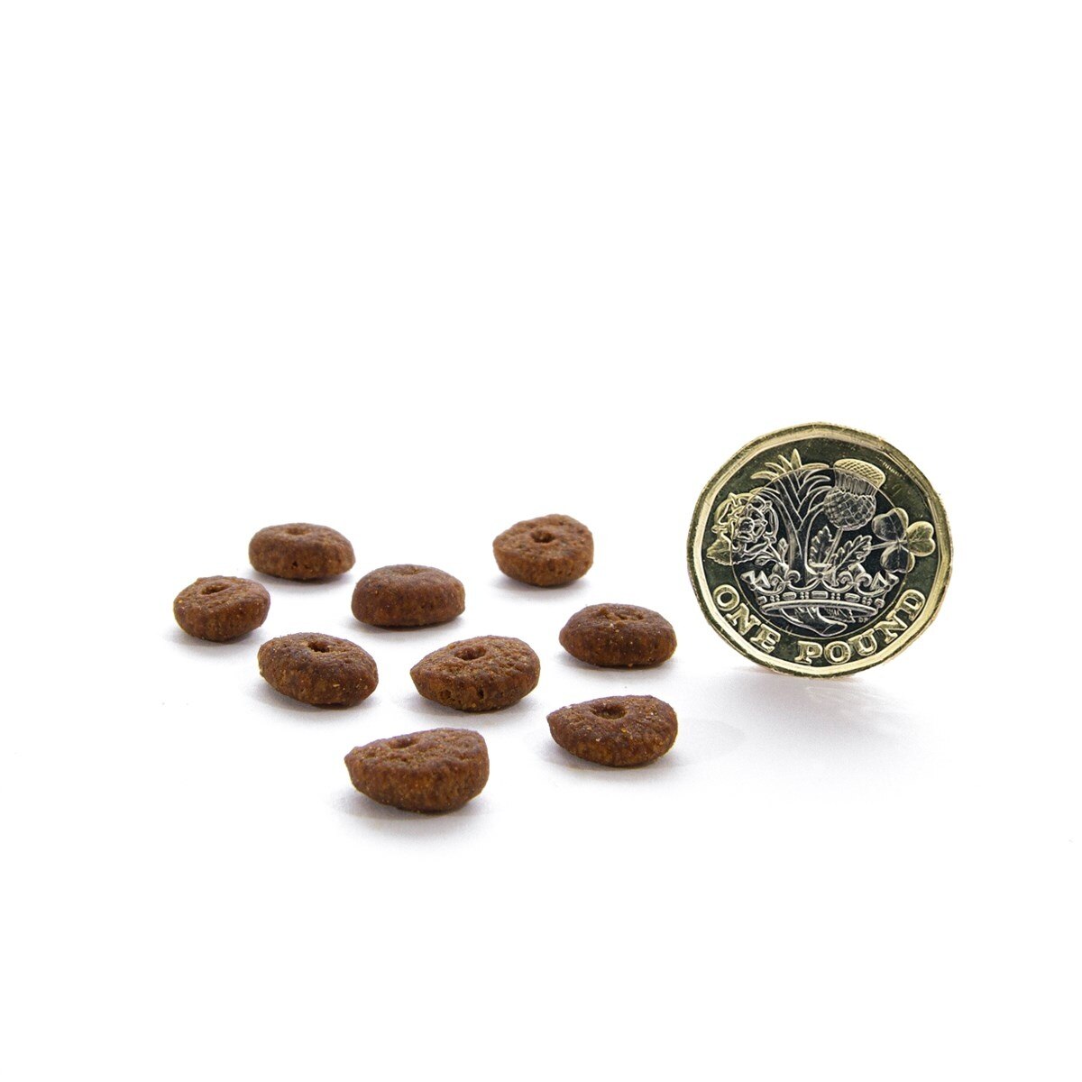 CANAGAN 無穀物走地雞減肥/老貓糧配方(1.5kg) - Canagan 原之選