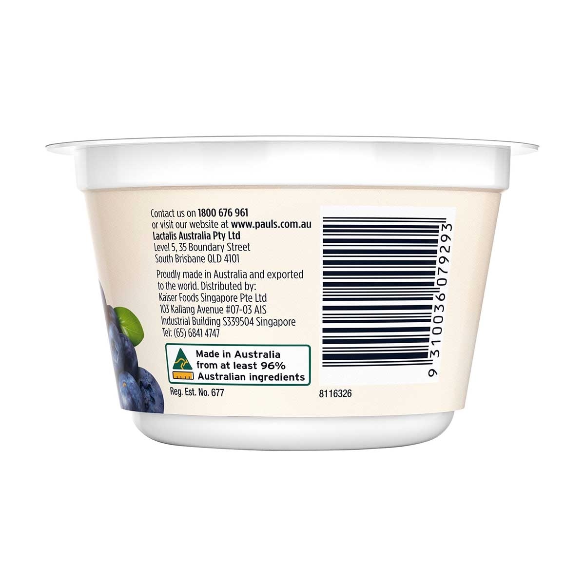 PAULS Plus+ Protein Blueberry Yoghurt [ Australia](chilled 0-4°c)