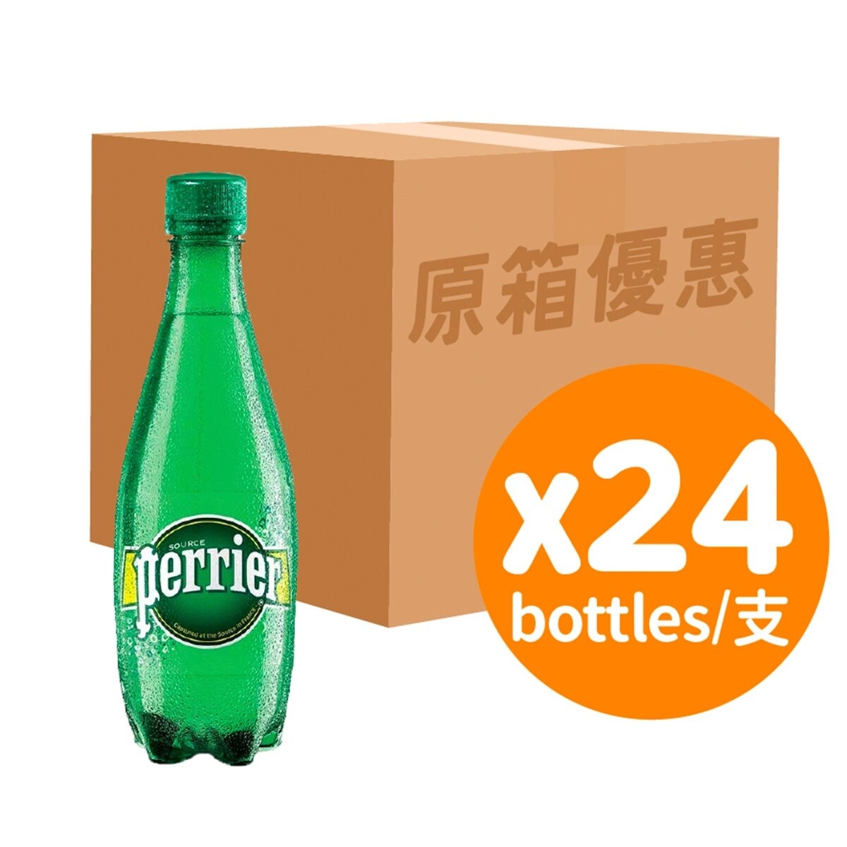 PERRIER Pet Regular (case)