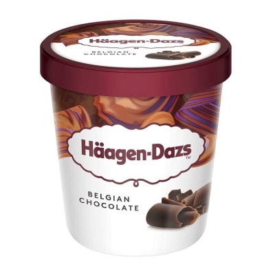 HAAGEN-DAZS 比利時朱古力雪糕家庭裝