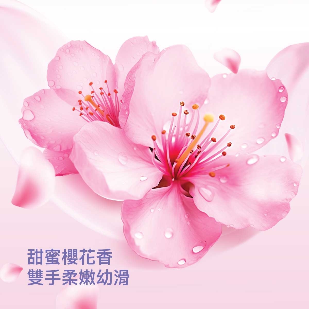 滴露 滴露Proskin滋潤保濕潔手液粉嫩櫻花甜香500G