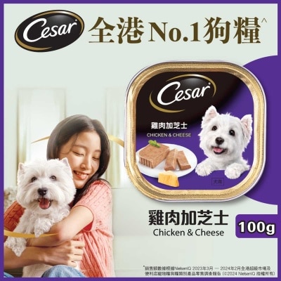 CESAR Dog Chicken & Cheese