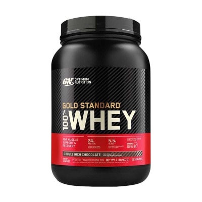 OPTIMUM NUTRITION On Gs Whey Double Rich Choc