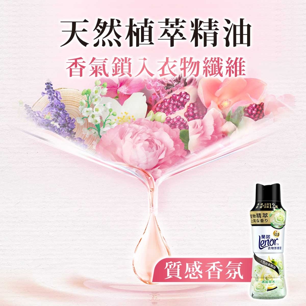 ＬＥＮＯＲ 衣物清香珠（清晨）