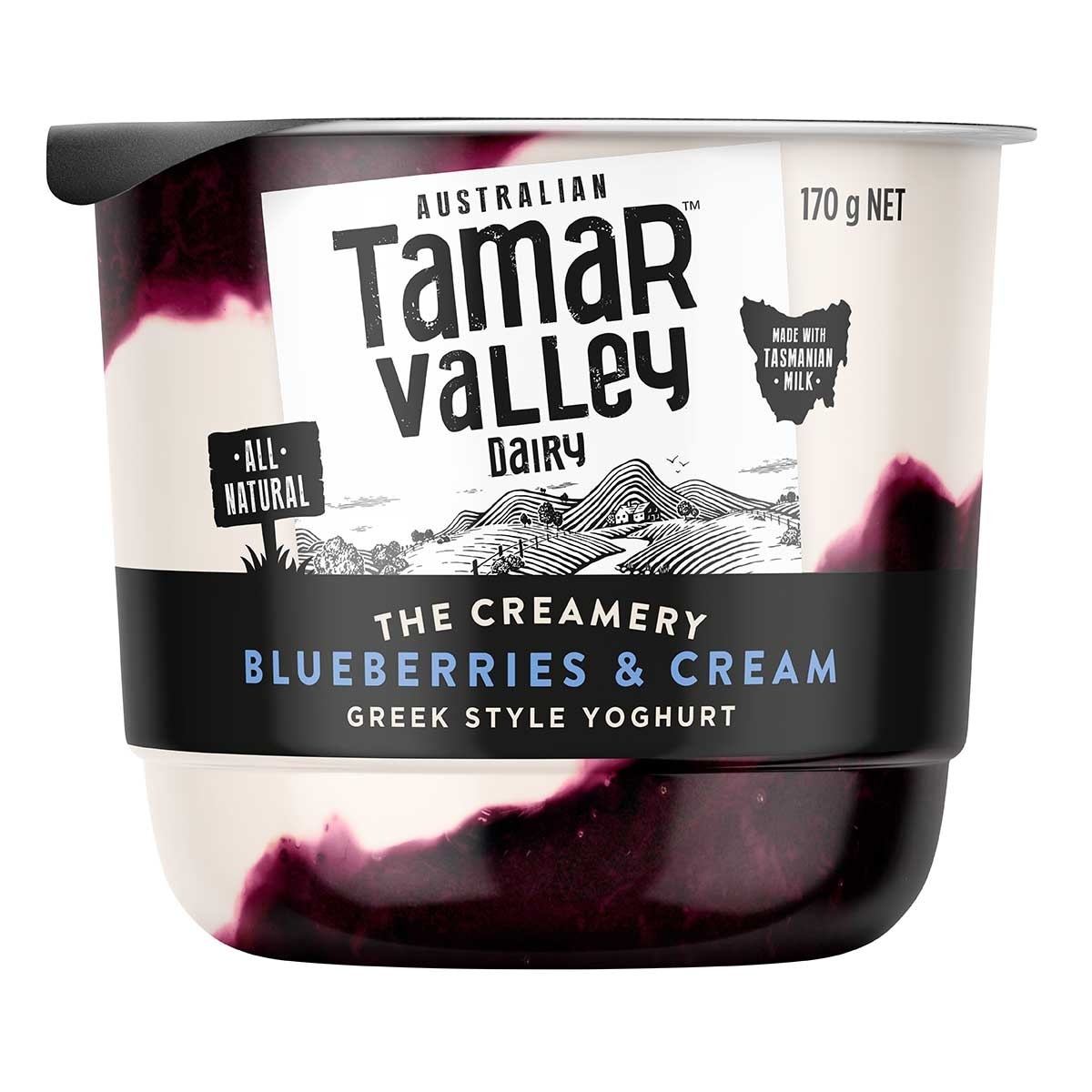 TAMAR VALLEY Greek Style Yog Blueberries & Cream
