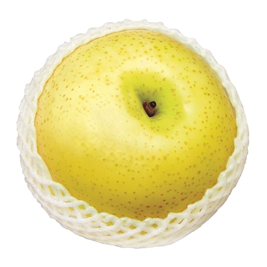 Century Pear (china)
