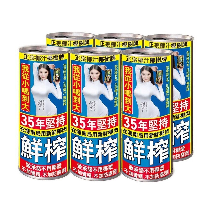 YESHU 椰樹牌椰子汁 245ML x 6