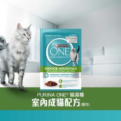 ONE - Adult Indoor Chicken Pouch 70g