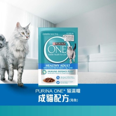 ONE - Adult Ocean Fish Pouch 70g