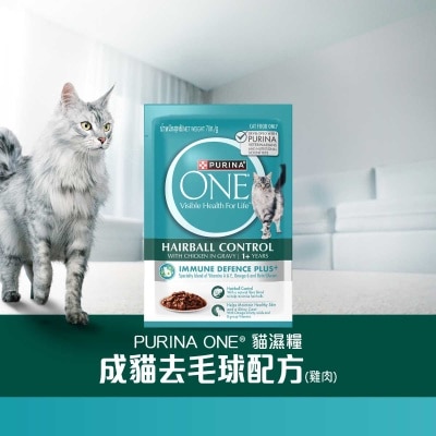 ONE - Adult Hairbaill Chicken Pouch 70g