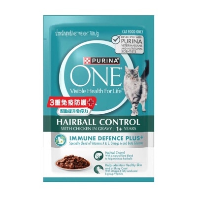 ONE Adult Hairbaill Chicken Pouch 70g