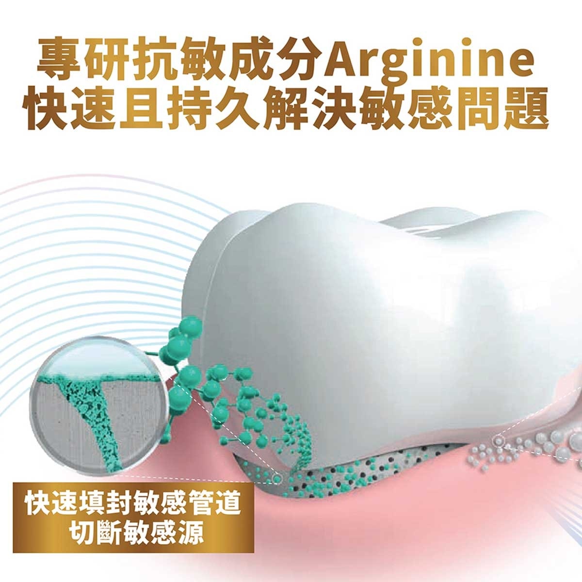 高露潔 全效專業護齦抗敏牙膏(清新薄荷) 115克