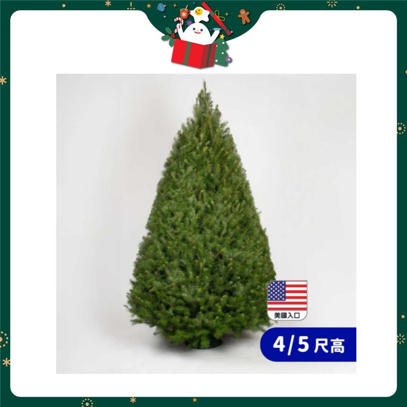 CHRISTMASTREEHK 4/5 Ft Douglas Fir With Stand