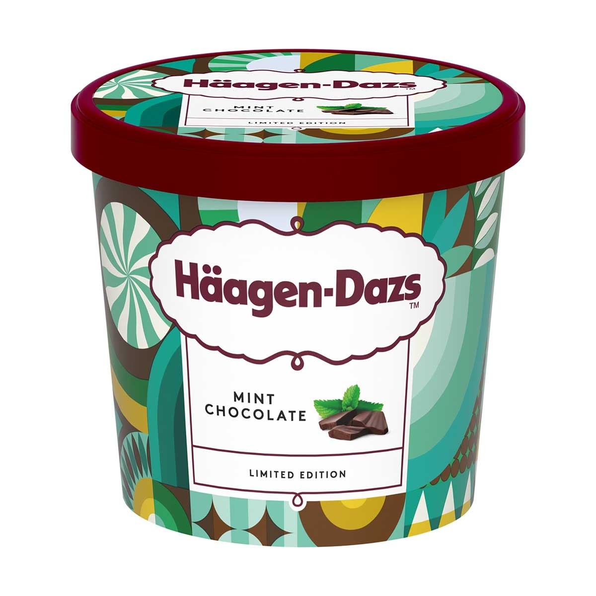 HAAGEN-DAZS Mint  Flv Chocolate Ice Cream