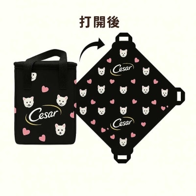 MARS Cesar Multi-function Cooler Bag