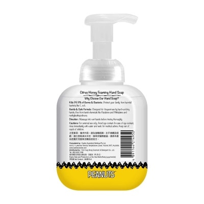 CASTLE 泡沫洗手液（柑橘清香）