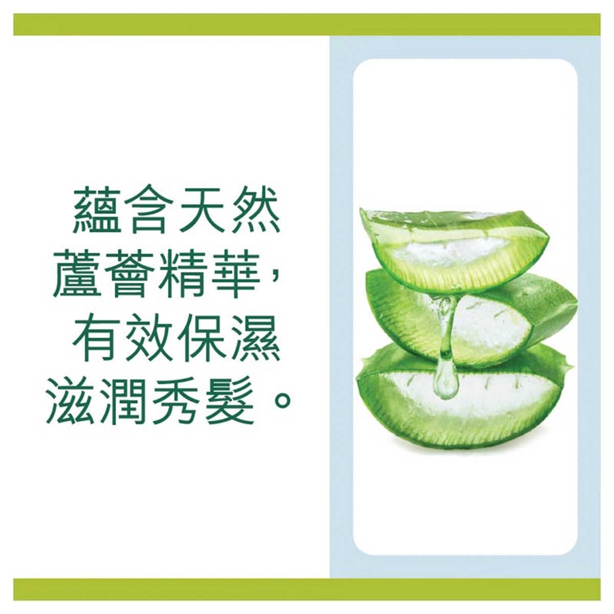 棕欖美之選 健康順滑洗髮露