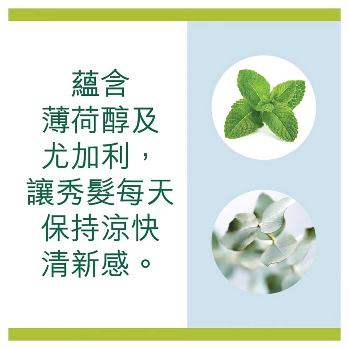 棕欖美之選 美之選輕爽水潤去屑洗髮露 去頭皮鎖水 秀髮輕盈順滑洗頭水 (油性或纖幼髮質適用)