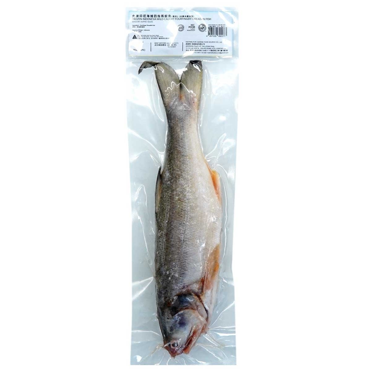 海產佬 急凍海捕四指馬鮁魚（馬友）(急凍 -18°c)