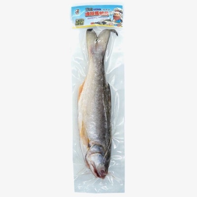 海產佬 急凍海捕四指馬鮁魚（馬友）(急凍 -18°c)