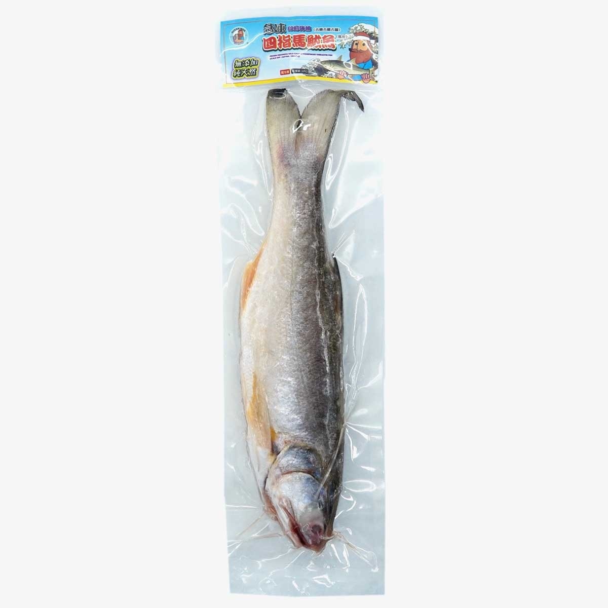 海產佬 急凍海捕四指馬鮁魚（馬友）(急凍 -18°c)