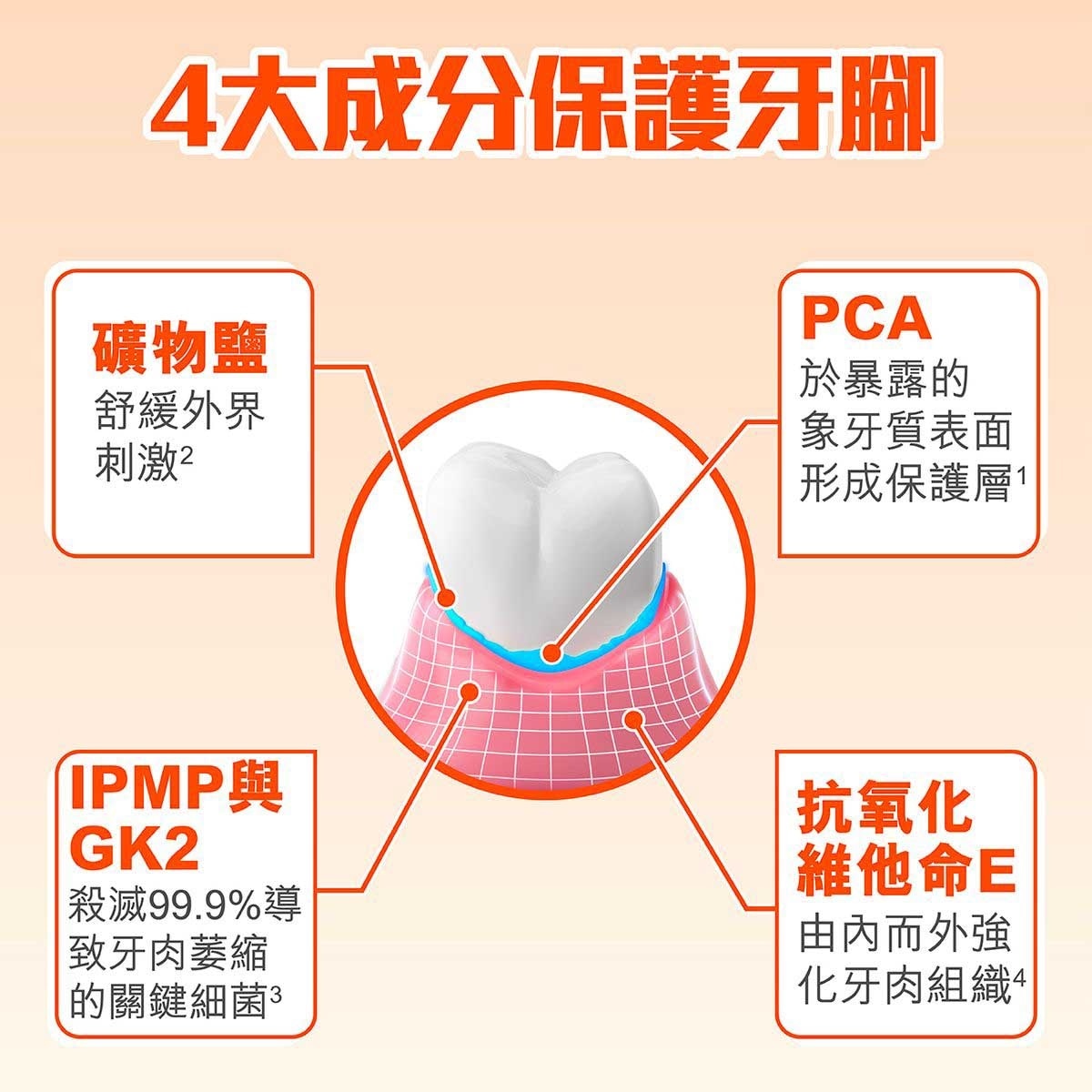NONIO Nonio 齒周強健無口氣漱口水(無添加酒精 海鹽薄荷味) 1000毫升