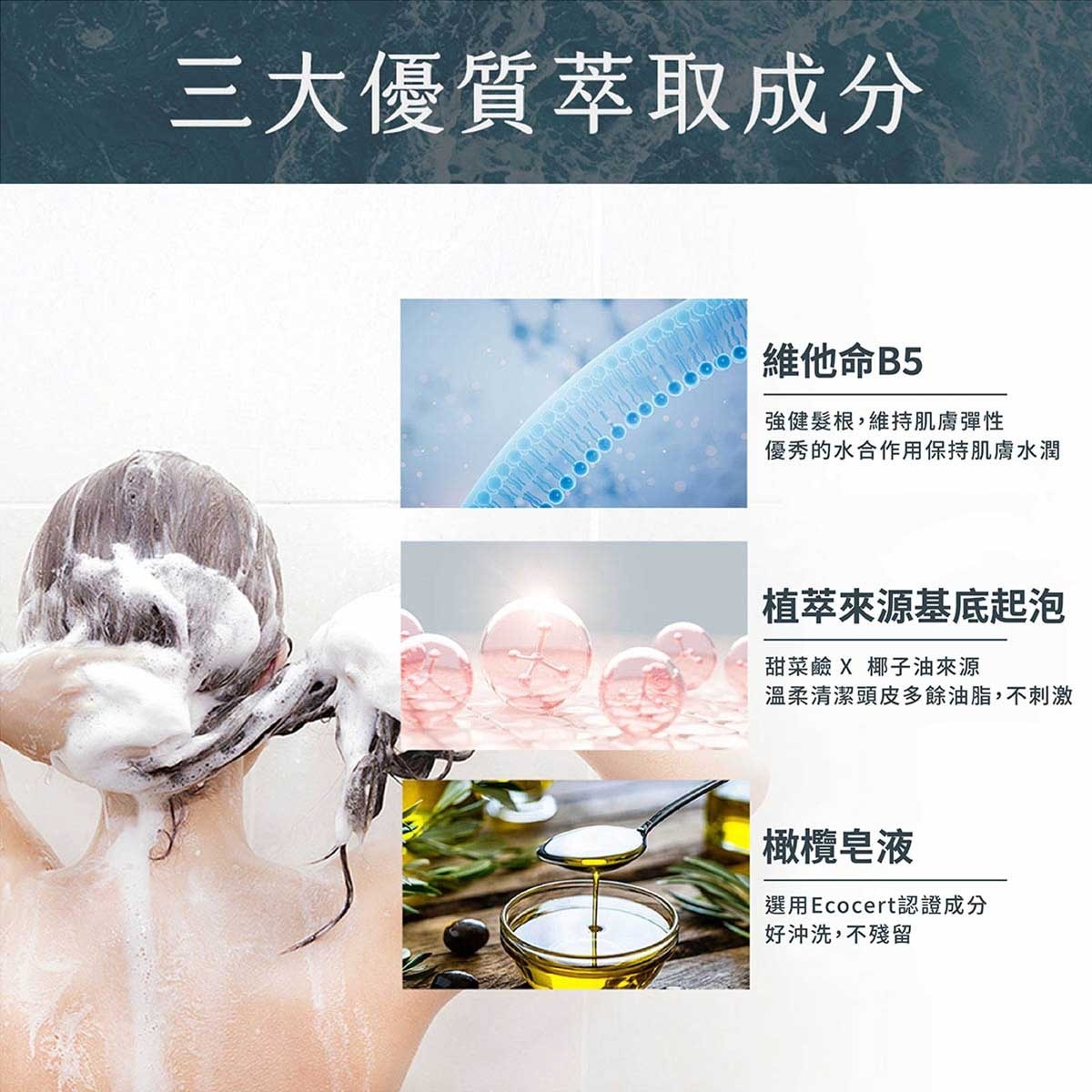 清淨海 森山島讀洗髮精 木 image