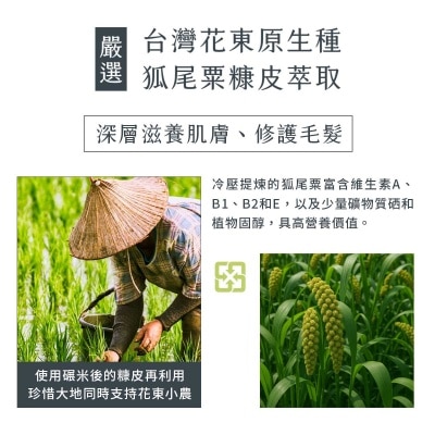 清淨海 森山島讀洗髮精 木 image