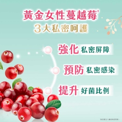 高潔絲 高潔絲蔓越莓抑菌安心熟睡褲xl4片孖裝