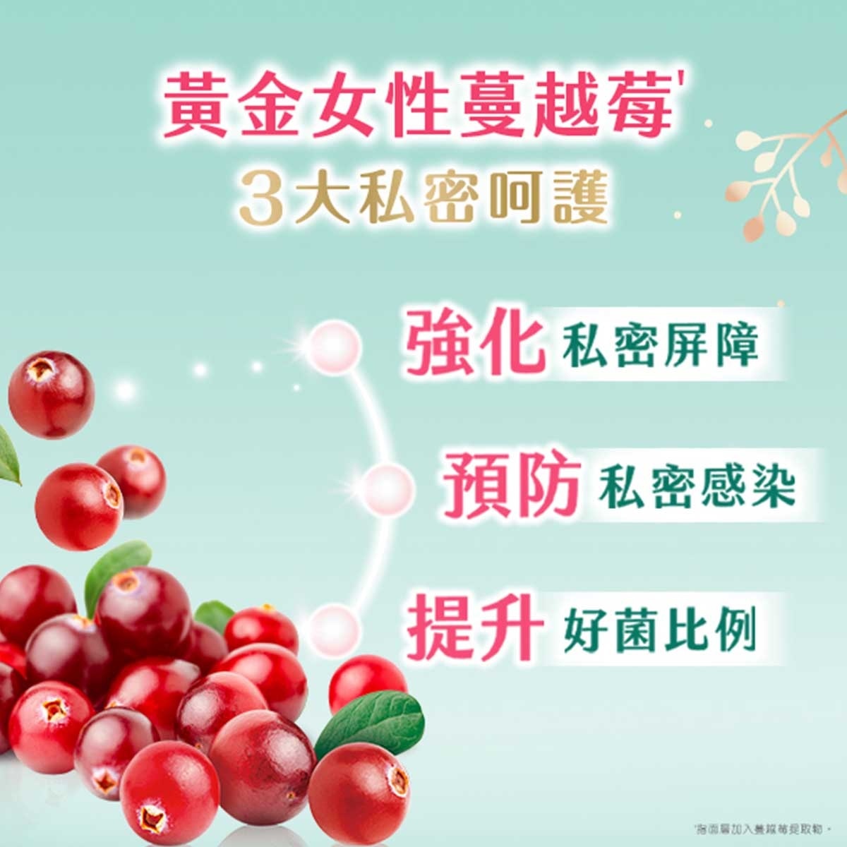 高潔絲 高潔絲蔓越莓抑菌安心熟睡褲xl4片孖裝