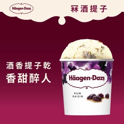 哈根達斯 甜酒提子雪糕家庭裝 [法國](急凍 -18°C)