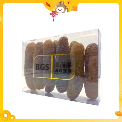 BGS Sea Cucumber