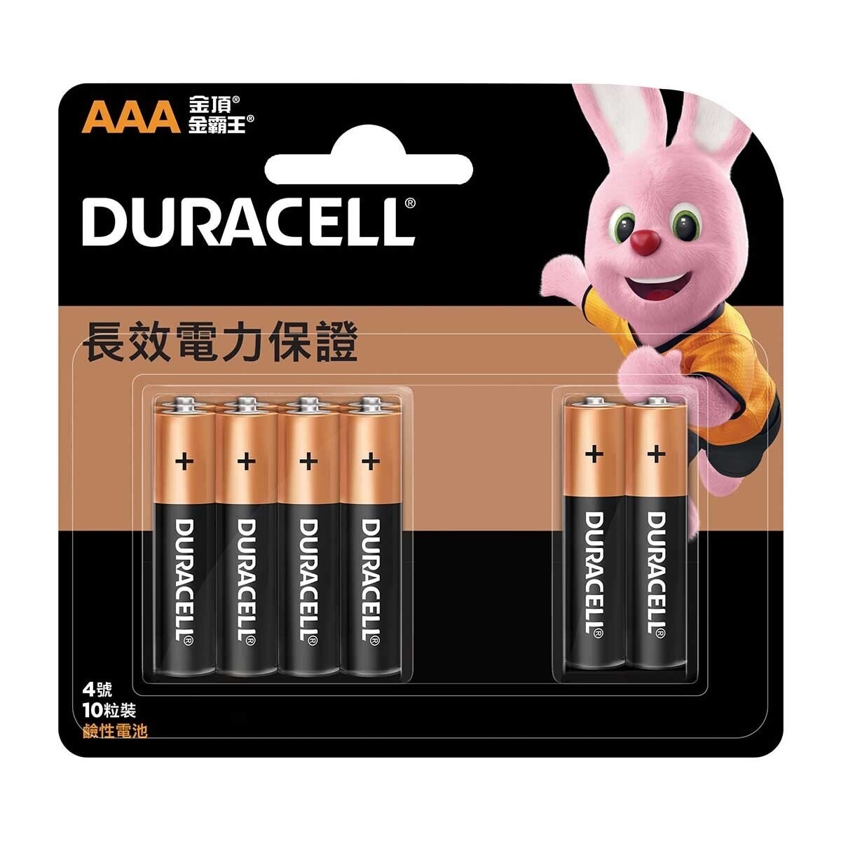 DURACELL Alkaline Aaa 10s