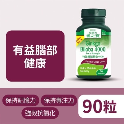 ADRIEN GAGNON - Ag Ginkgo Biloba 4000