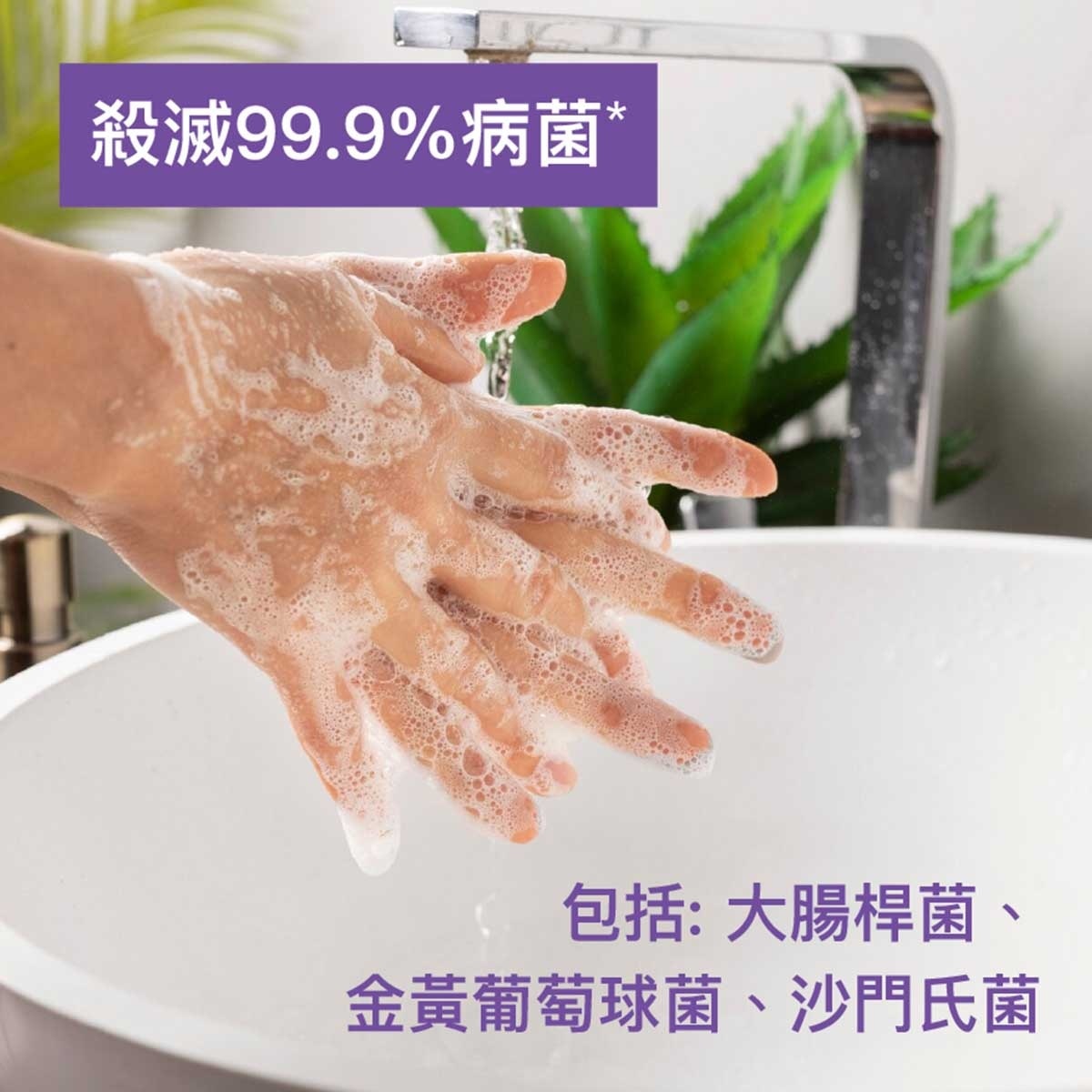 滴露 滴露敏感肌膚殺菌潔手液