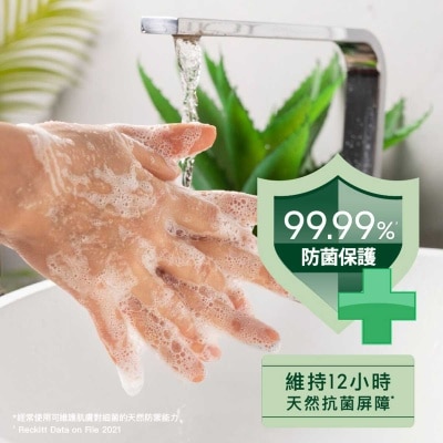 DETTOL Hand Wash Pine 500g Ppk