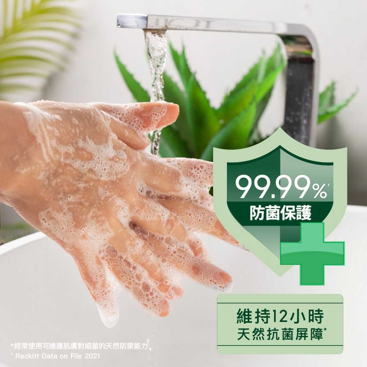 DETTOL Hand Wash Pine 500g Ppk