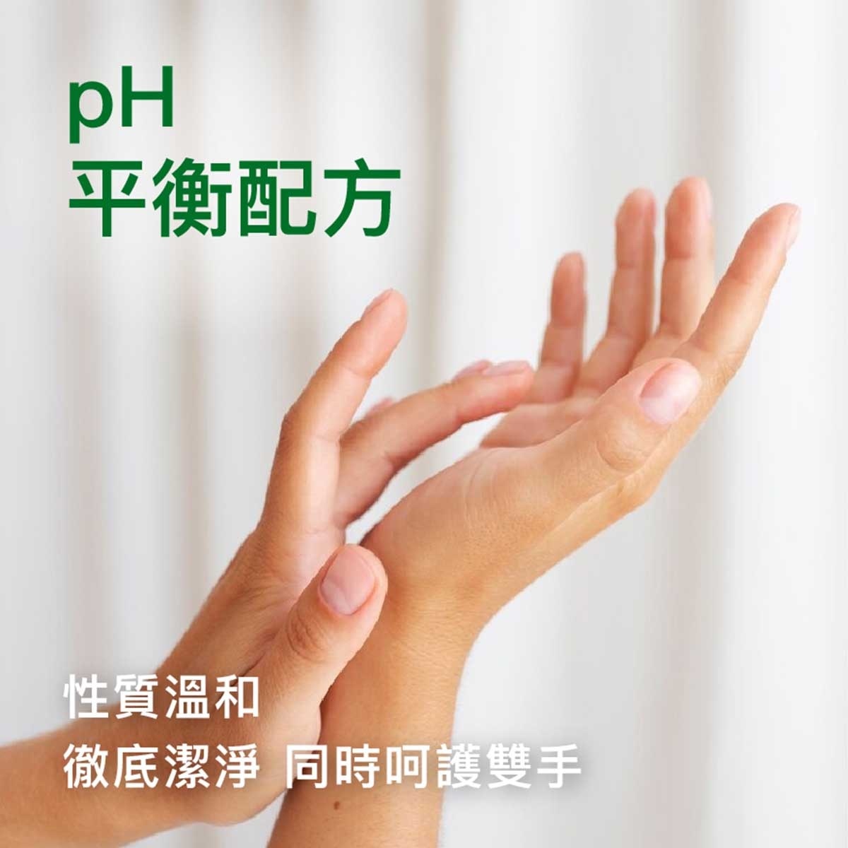 滴露 經典松木潔手液3支裝